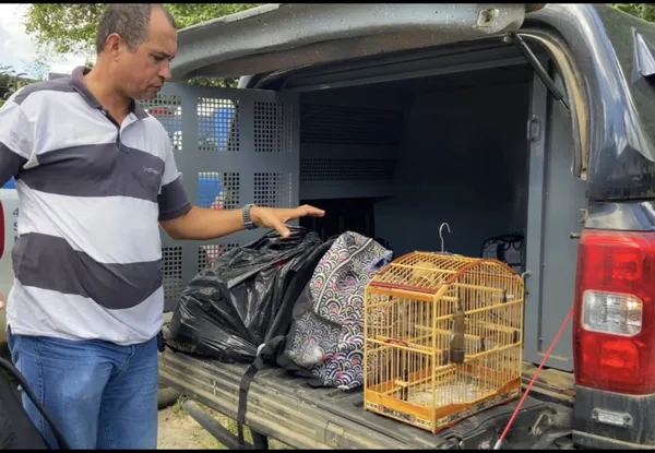 Influenciador digital é preso em flagrante por tráfico de drogas no interior da Bahia
